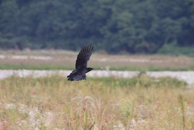 China Yiwu and Shantou Toys Markets: 2025 Guide – vocal.media