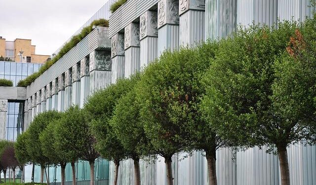 Brazil’s Supreme Court orders Jair Bolsonaro to begin prison sentence – Al Jazeera