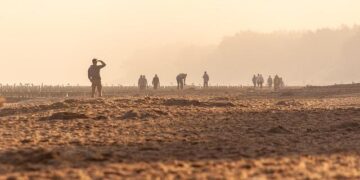 Enjoying the seashore by watching the penguins play – Youth Journalism International