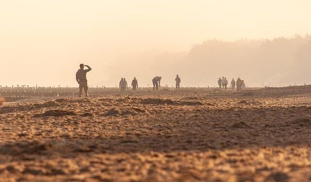 Enjoying the seashore by watching the penguins play – Youth Journalism International