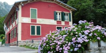 Galatasaray targets Atletico Madrid forward Giacomo Raspadori in winter window – Türkiye Today