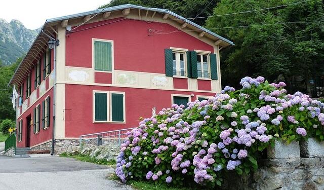 Galatasaray targets Atletico Madrid forward Giacomo Raspadori in winter window – Türkiye Today