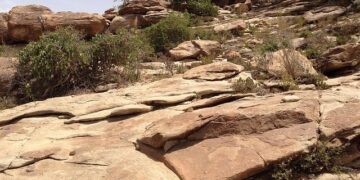 How will Israel’s recognition of Somaliland impact the Middle East? – Al Jazeera