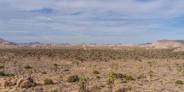 Anthony Joshua’s Driver Charged After Fatal Crash in Nigeria – bet.com