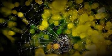 MSS showcases K-beauty in Shanghai to boost Korean cosmetics exports – Chosunbiz