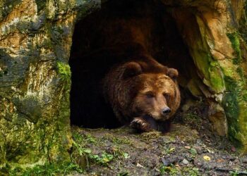 Israel Police raid cannabis dens in Tel Aviv apartment, find drug bags in Haifa vehicle – Yahoo