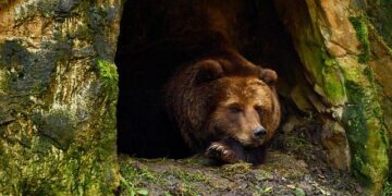 Israel Police raid cannabis dens in Tel Aviv apartment, find drug bags in Haifa vehicle – Yahoo