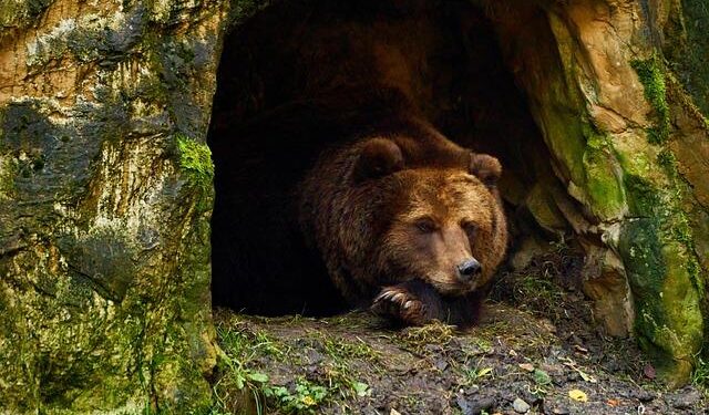 Israel Police raid cannabis dens in Tel Aviv apartment, find drug bags in Haifa vehicle – Yahoo