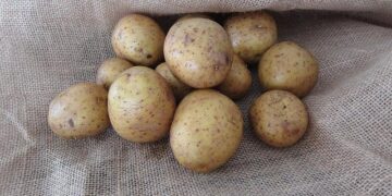 Prabowo touts ‘victory’ in achieving rice self-sufficiency – The Jakarta Post