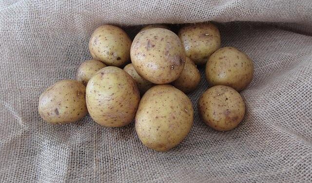 Prabowo touts ‘victory’ in achieving rice self-sufficiency – The Jakarta Post