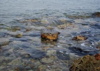 Jeddah in the Fall: 7 Things to See and Do – MICHELIN Guide