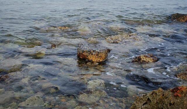 Jeddah in the Fall: 7 Things to See and Do – MICHELIN Guide