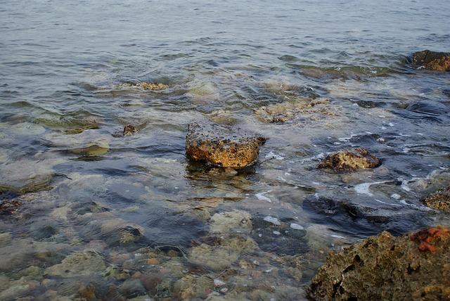 Jeddah in the Fall: 7 Things to See and Do – MICHELIN Guide