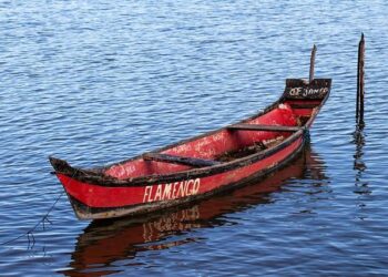 Vitao joins Flamengo from SC Internacional RS for €10.2 million – Tribuna.com