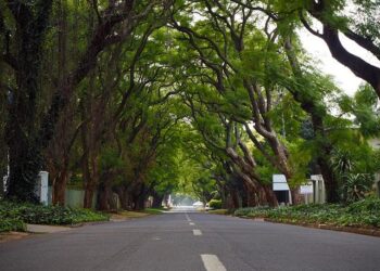 Johannesburg launches G20 makeover ahead of South Africa summit – Financial Times