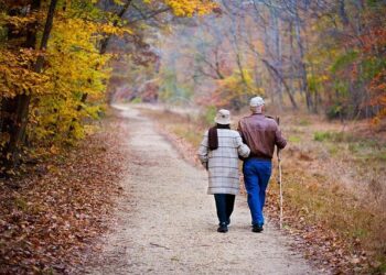 ‘Our biggest mistake was…’: Delhi elderly couple duped of ₹15 crore in 2-week ‘digital arrest’ recounts ordeal | India News – Hindustan Times