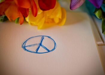 RSF ‘must be disarmed,’ ‘grateful to Türkiye,’ says Sudan’s Ambassador to Ankara – Türkiye Today