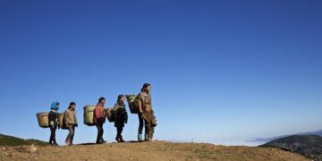 Wang Yi in Rome: Beijing seeks to revive dialogue with Italy – and Europe – Decode39