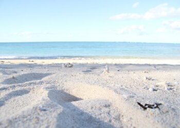 Down in the Clouds Installation in Ningbo, China – e-architect