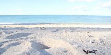 Down in the Clouds Installation in Ningbo, China – e-architect