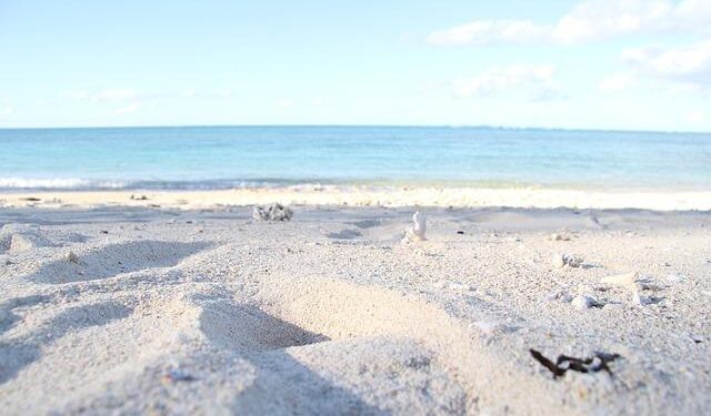 Down in the Clouds Installation in Ningbo, China – e-architect