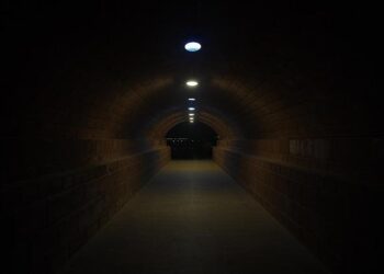 ‘Intended killings’: Tanzania’s election violence ensnared unsuspecting victims – Reuters