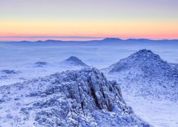 STG Files for Chapter 11, AI Logistics Shift: The Weekly Roundup – Mexico Business News