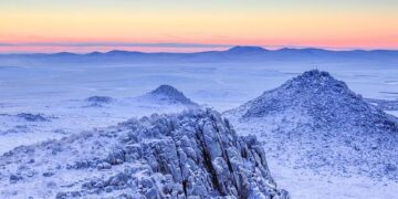 STG Files for Chapter 11, AI Logistics Shift: The Weekly Roundup – Mexico Business News