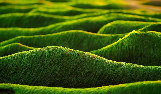 The Best Things to Do in Taipei, the Nature-Wrapped Heart of Taiwan – Condé Nast Traveler