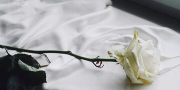 Rose-themed ice installations draw visitors to Changchun – People’s Daily Online