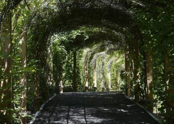 Historic role of Shenyang Trial site emphasized – China Daily – Global Edition