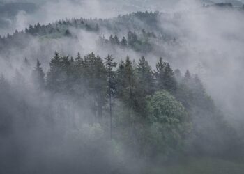 Drone attack in Sudan threatens Khartoum airport’s reopening: Reports – Al Jazeera