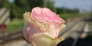 Investigation into rail tragedy in Spain finds marks of broken track on the derailed train – EL PAÍS English