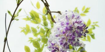 Former recurve stars Zhang Xinyan and Ding Yiliang chase compound glory in Nanjing – World Archery