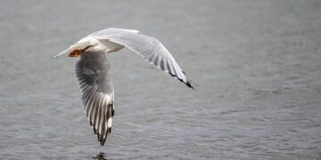 Australian Open photos show shafts of light at Melbourne Park – timesunion.com
