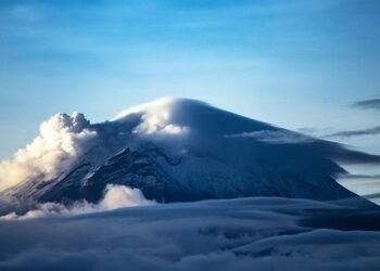 Mexico’s Unit of Measure and Update (UMA): New Values to Increase on February 1, 2026 – Ogletree