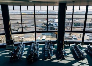 Best Things to Do and See in Tokyo in March – gotokyo.org