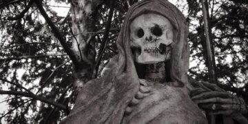 Man found dead in car, another person injured after shooting in St. Pete: police – wfla.com