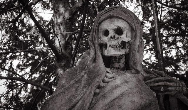 Man found dead in car, another person injured after shooting in St. Pete: police – wfla.com