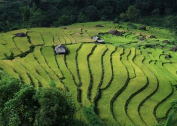 Vietnam emerges as top ASEAN market for Japanese firms: JETRO – hanoitimes.vn