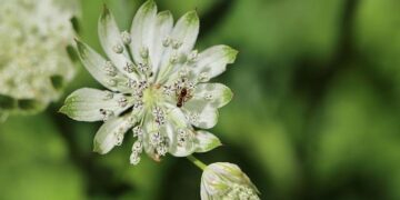 SGCCI to host three major exhibitions from Jan 24 – Times of India