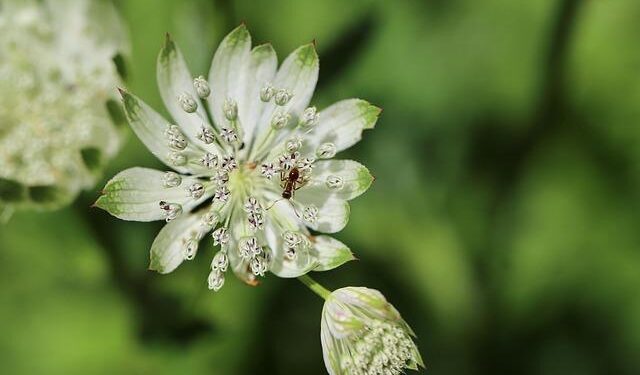 SGCCI to host three major exhibitions from Jan 24 – Times of India