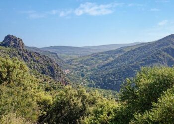 Secretary-General appoints Hanny Cueva-Beteta of Peru as the United Nations Resident Coordinator in Paraguay – UN Sustainable Development Group