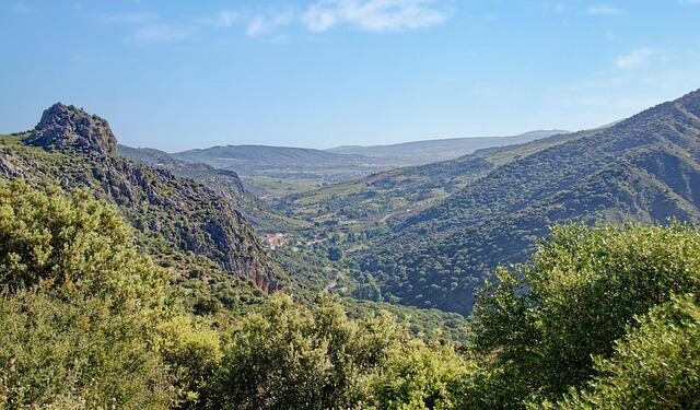 Secretary-General appoints Hanny Cueva-Beteta of Peru as the United Nations Resident Coordinator in Paraguay – UN Sustainable Development Group