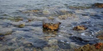 Jeddah Tower Achieves Construction Milestone; Tops 80 Floors – mepmiddleeast.com