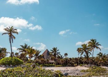 Nakamura fastest, Rivera takes pole in wet FRegional Oceania qualifying – Formula Scout