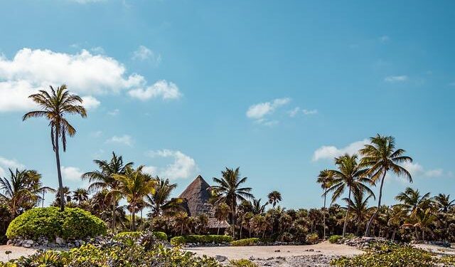 Nakamura fastest, Rivera takes pole in wet FRegional Oceania qualifying – Formula Scout