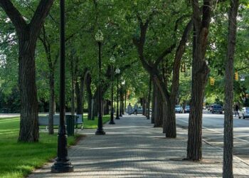 Saskatoon officers to learn from transit police in London, U.K. – CBC