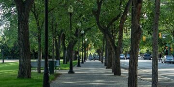 Saskatoon officers to learn from transit police in London, U.K. – CBC