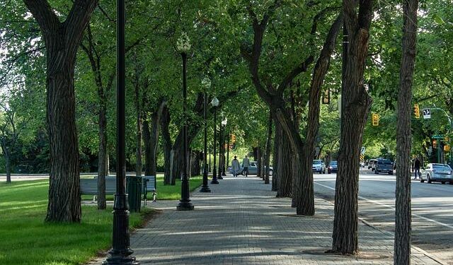 Saskatoon officers to learn from transit police in London, U.K. – CBC